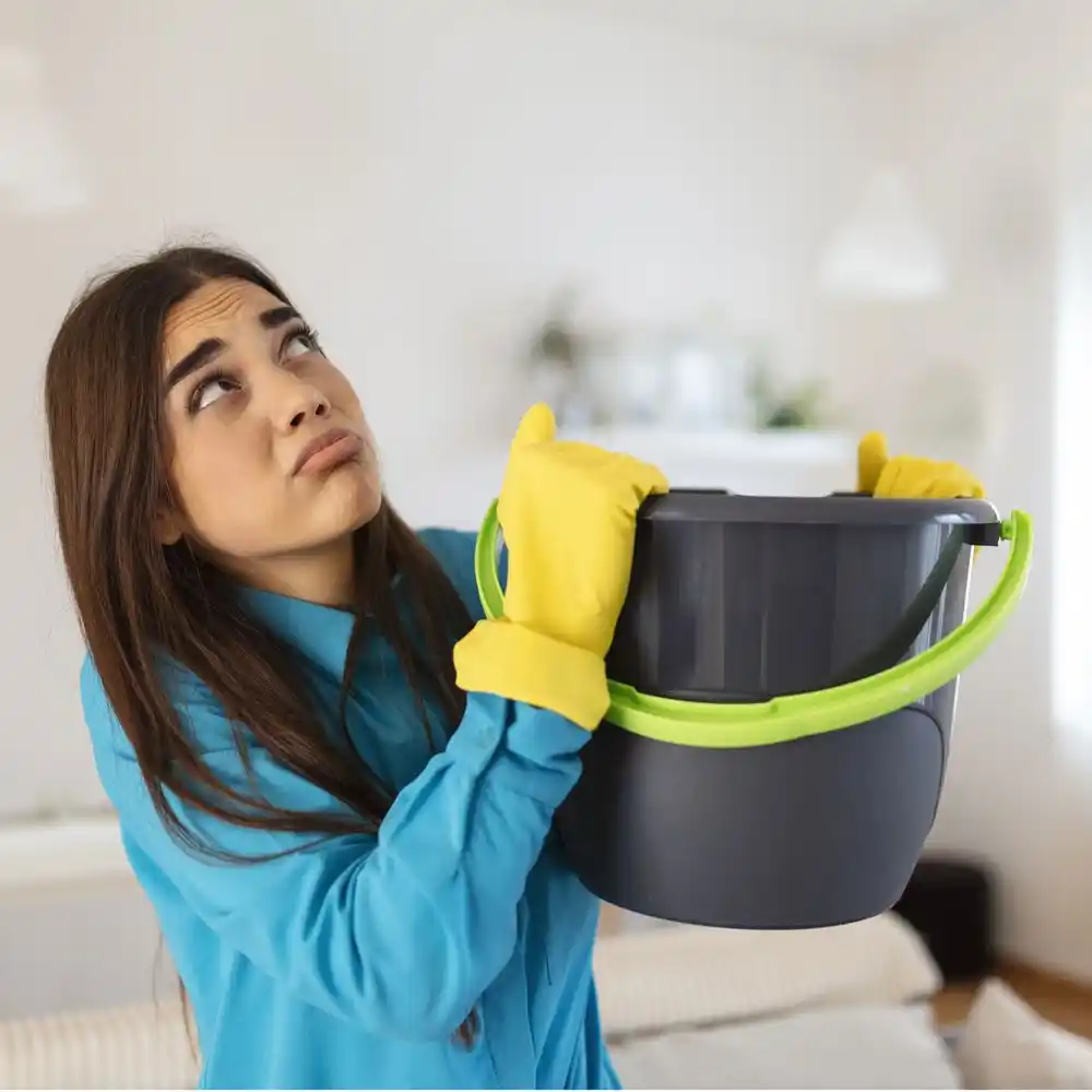 water damage restoration service Hendricks
